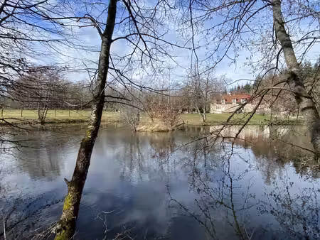 morvan: propriété de 5 hectares avec plan d'eau