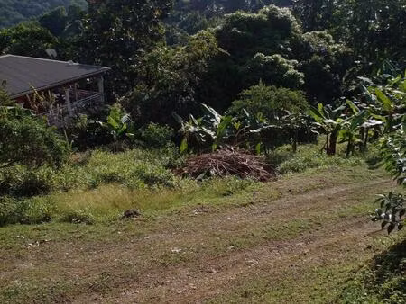 a vendre terrain avec une faible pente  idéal pour un plain-pied