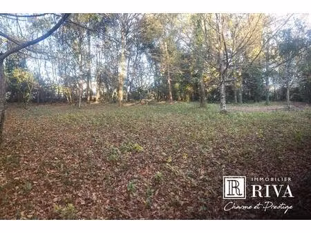 terrain constructible 1500 m2 - proche ecoles - piscinable