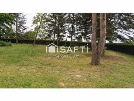 terrain a batir arbore