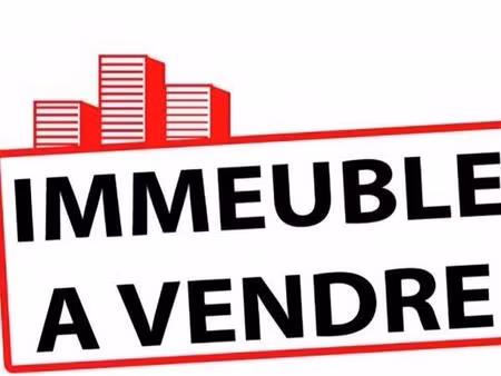 spécial investisseur - immeuble en excellent état - loué