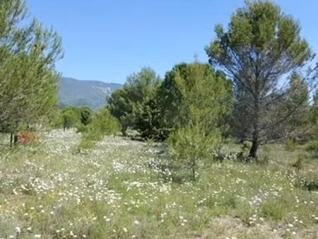 beau terrain constructible au pied du luberon