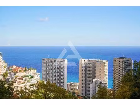 trois pieces - beausoleil - parking et vue mer