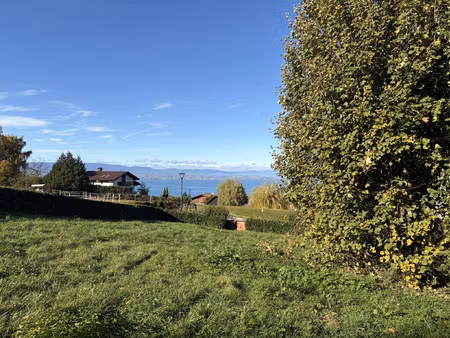 achat terrain 1 303m² neuvecelle 74500