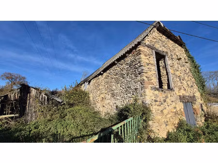 vente maison 1 pièce 200 m² saint-côme-d'olt (12500)