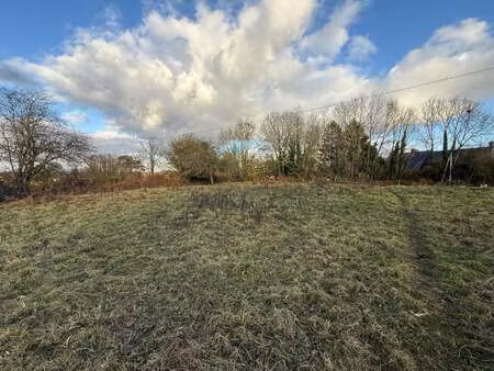 vente terrain à ouville (50210) : à vendre / 1017m² ouville