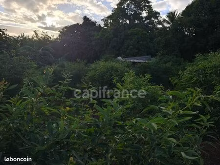 terrain 1 043 m² baillif