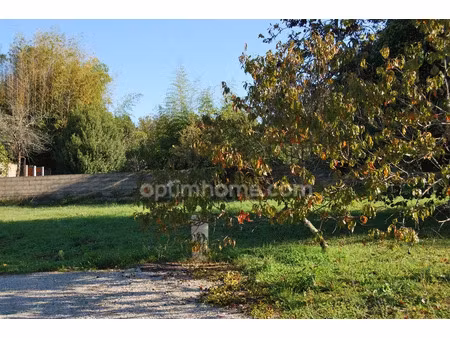 vente terrain 439 m² soyaux (16800)