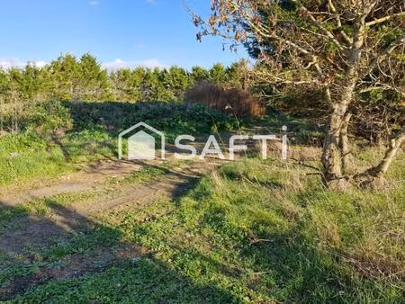 vente local industriel 4900 m² marsilly (17137)