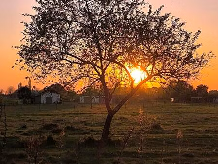 terrain à bâtir à cavignac (33620)