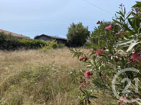 terrain à vendre - 724 m2 - la teste de buch - 33 - aquitaine