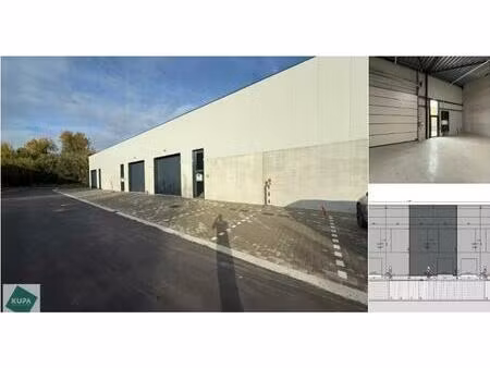 surface industrielle à louer à noorderstraat 1 hal (rbu78056)