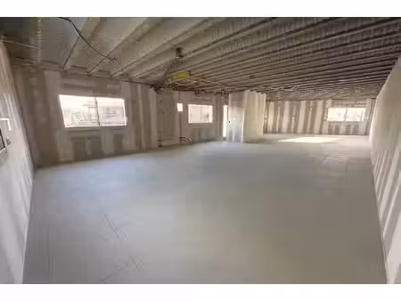 local professionnel 100m²- saint gély