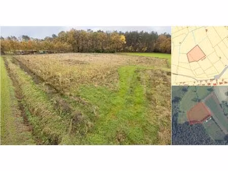 terrain agricole à vendre à moleneinde lille (rbu77989)