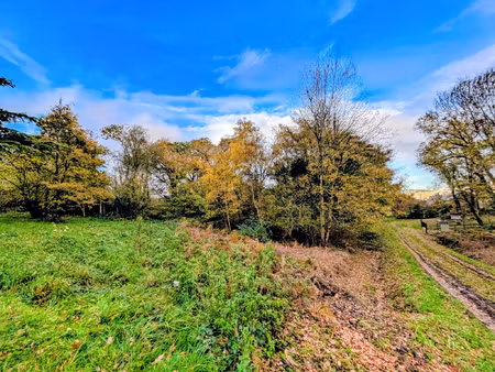 achat terrain 9 420m² guer 56380