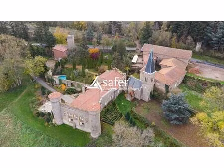 chateau d'exception avec activite economique - monts du lyonnais