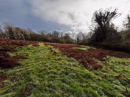 vente terrain 18830 m² bellou-en-houlme (61220)