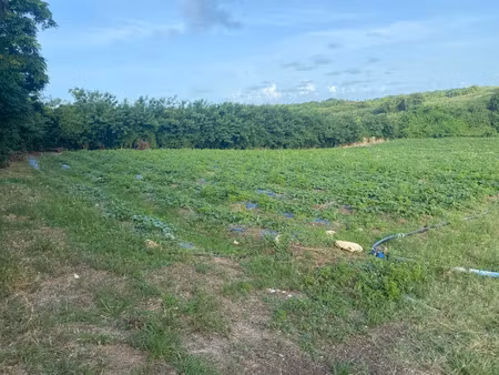 vente terrain 2000 m² à le vauclin (97280)  275 000 €