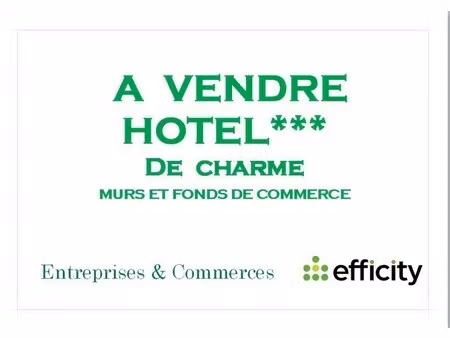 vente local commercial