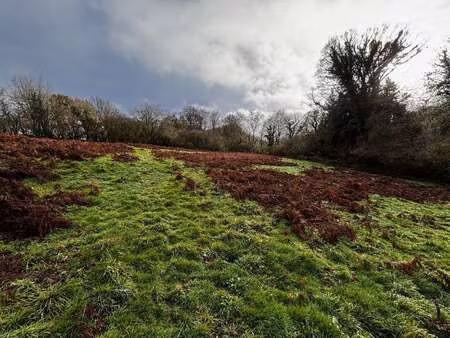 vente terrain à bellou-en-houlme (61220) : à vendre / 18830m² bellou-en-houlme