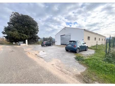 local 463m2 zone d'activité de cagueloup