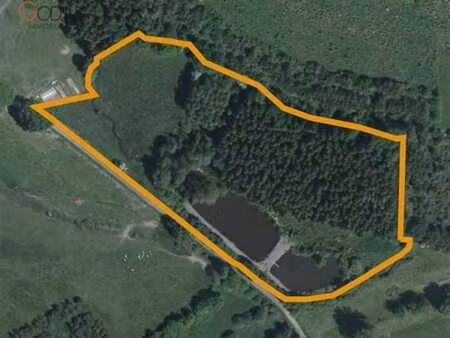 domaine de 2 5 ha avec étangs  prairies et bois