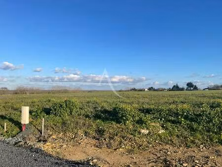 vente terrain à chaillé-les-marais (85450) : à vendre / 419m² chaillé-les-marais
