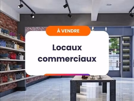 vente commerce 3 pièces 90 m² rumilly (74150)