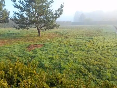 terrain constructible à vendre