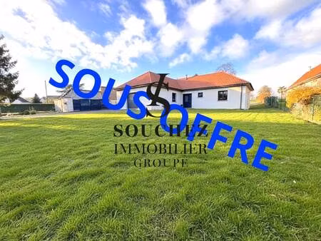 souchez immobilier - souchez
