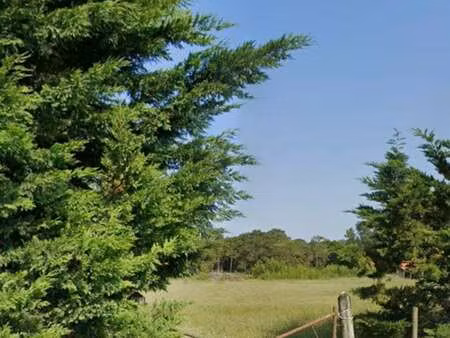 vente terrain à notre-dame-de-monts (85690) : à vendre / notre-dame-de-monts