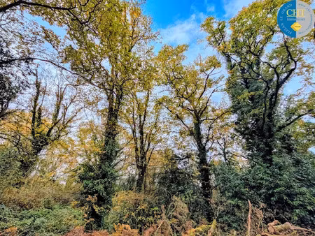 vente terrain à guer (56380)  12 100 €