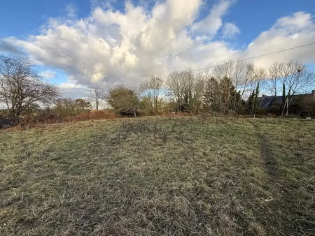 vente terrain à batir 1017 m² à ouville (50210)  30 000 €