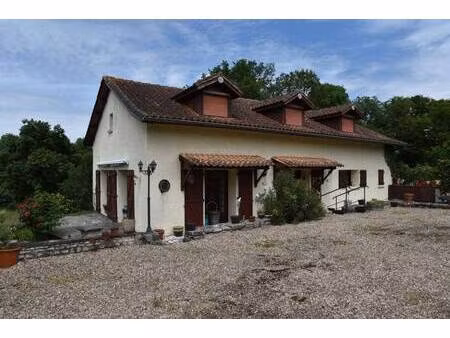 roses immobilier