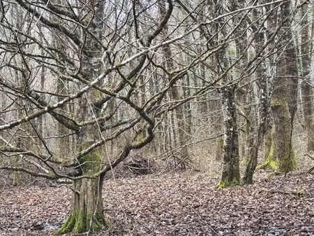 vente terrain 405918 m² val-d’issoire (87330)