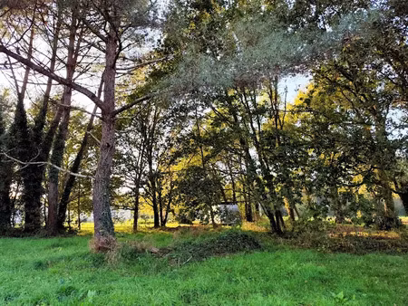 vente terrain 840 m² à saint-sauveur (33250)  54 000 €