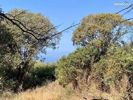 terrain 7 644 m² olmeto