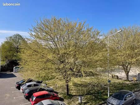 appartement 3 pièces 50 m²