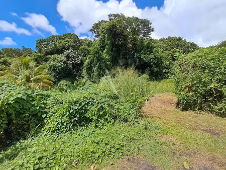 vente terrain 2167 m² à fort de france (97200)  350 000 €