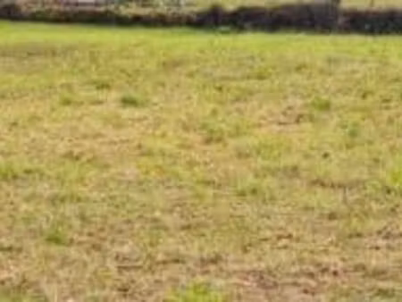 vente terrain 1600 m² à lachapelle-sous-chaux (90300)  85 000 €