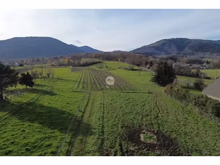 vente terrain à batir 2267 m² à wuenheim (68500)  325 000 €
