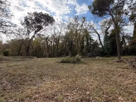 vente terrain 1316 m² à opio (06650)  745 000 €