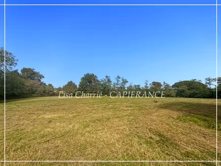 vente terrain 10455 m² à urgosse (32110)  93 500 €