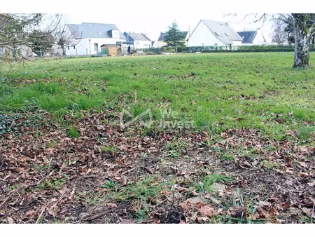 vente terrain 1362 m² à sainte-reine-de-bretagne (44160)  100 000 €