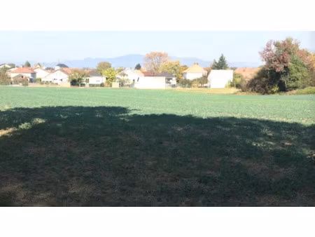 vente terrain 441 m² à morschwiller-le-bas (68790)  134 505 €