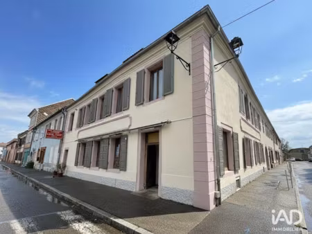 vente locaux professionnels 140 m² à neuf-brisach (68600)  88 000 €