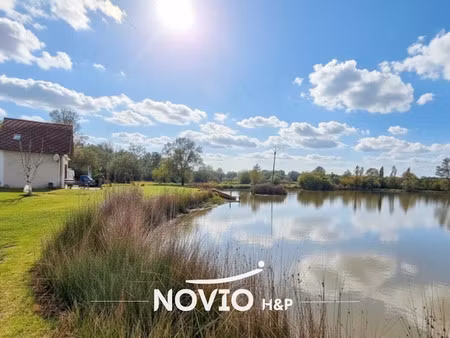 vente terrain 52000 m² à saint-michel-en-brenne (36290)  191 500 €