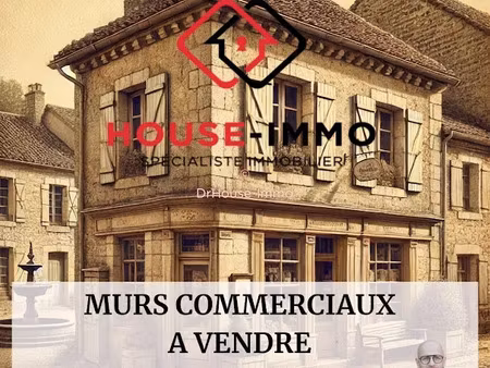 vente immeuble 6 pièces 394 m² à les landes-genusson (85130)  177 670 €