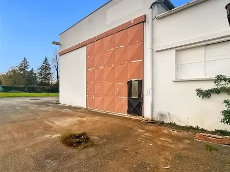 vente locaux professionnels 2854 m² à thomery (77810)  1 350 000 €