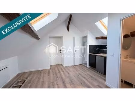 t1 sous les toits  charme absolu et poutres magnifiques